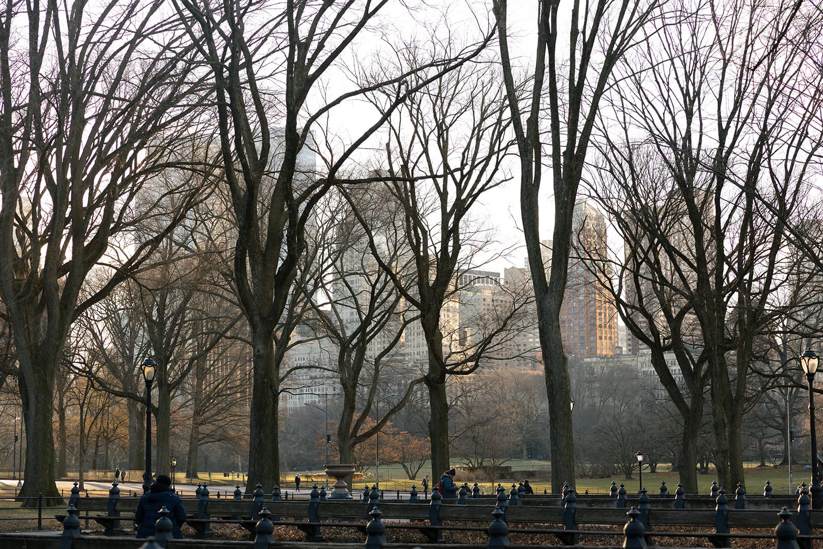 Carlie and Mat walking through Central Park in the late winter light